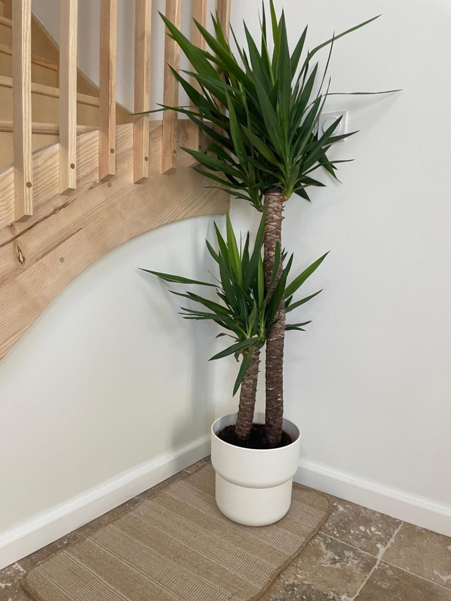 L Appartement Sete Magnifique Duplex Climatise Exterior foto